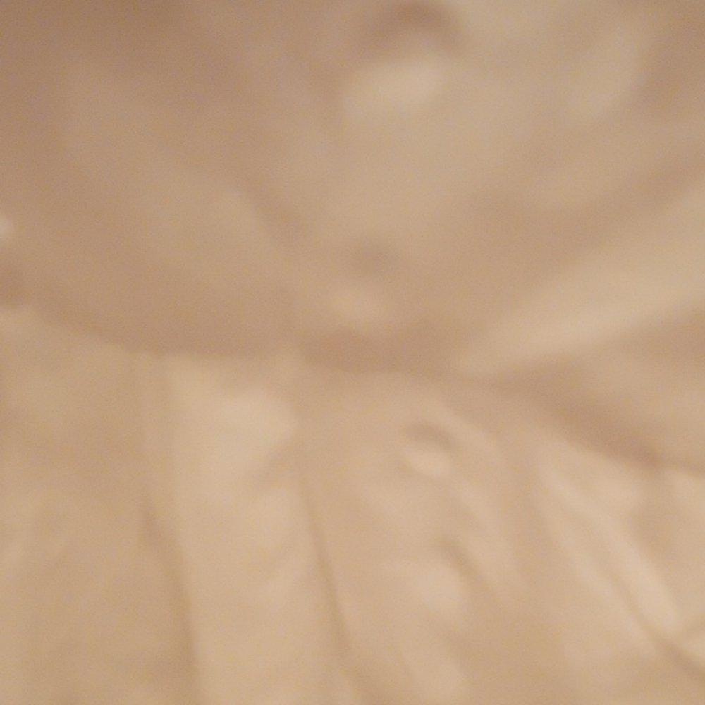 Market & Spruce White Eyelet Blouse - Picture 3 of 7